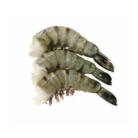 High Selling Fresh Frozen Whole Vannamei Shrimp White / Black Tiger Shrimp /prawn