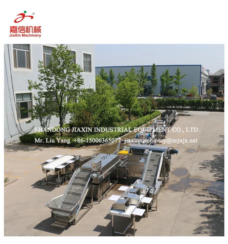 Hot sale fruit and vegetable washing equipment machine line