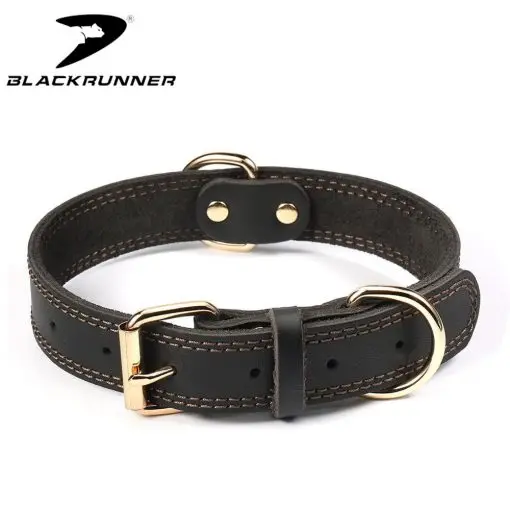 Elegant Leather Dog Collar