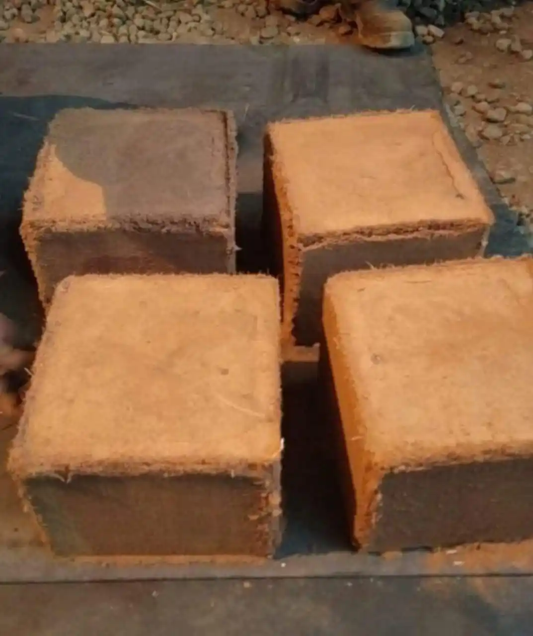 wholesales cocopith coir bock 5 kg for gardening