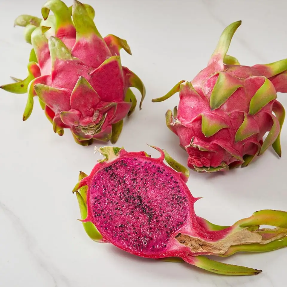 Premium, high quality, clean farming, Global GAP, attractive price fresh Red Dragon Fruit (Pitaya/Pitahaya) from Vietnam