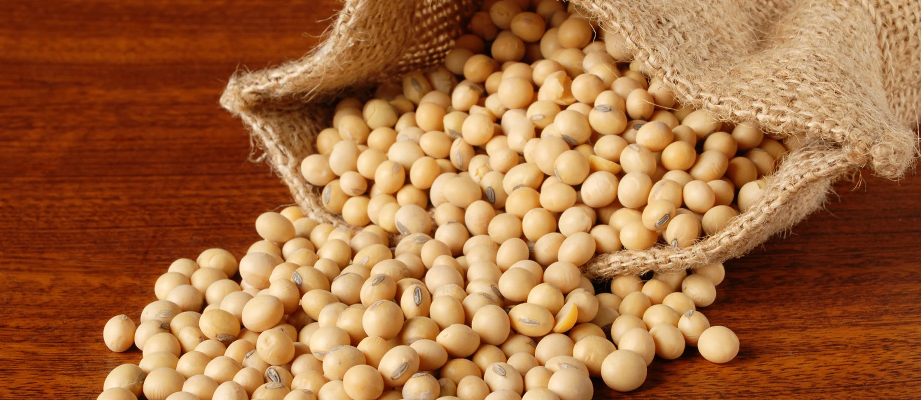 NON GMO SOYBEANS 8.jpg