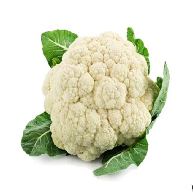 
CAULIFLOWER AGRICULTURE, FRESH VEGETABLES,FRUITS, WHOLESALE PRICE CAULIFLOWER 