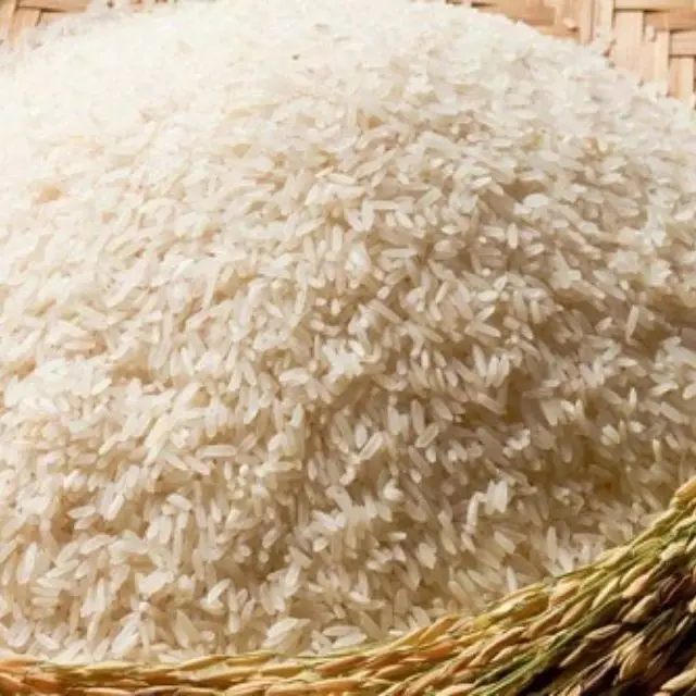 Самая низкая цена рис St24 октября 2021 года оптовая продажа на экспорт новый урожай WhatsApp + 84 85 555 5243