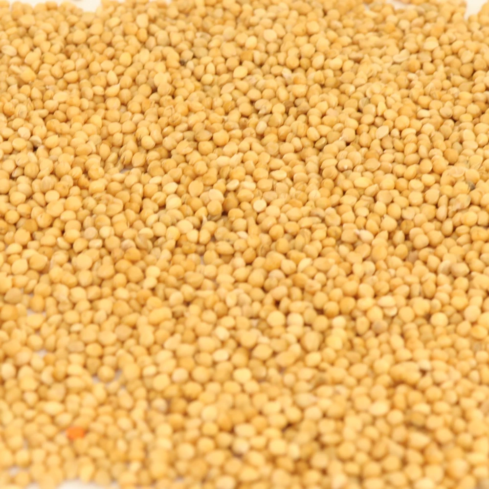 Wholesale Price of Healthy Food Natural Organic Bird Feed Canary Kernel Seeds