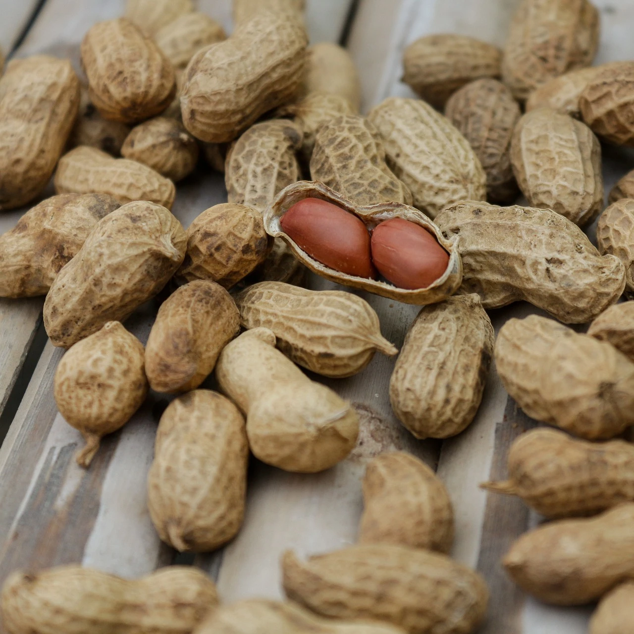 Excellent Peanuts from Argentina
