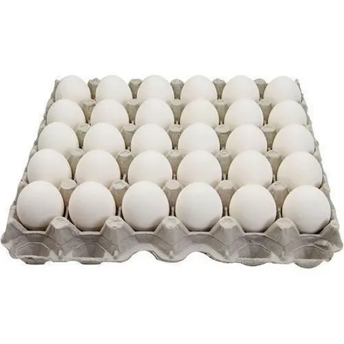 White Fresh Chicken Table Eggs/ Artificial Ostrich Eggs For Sale