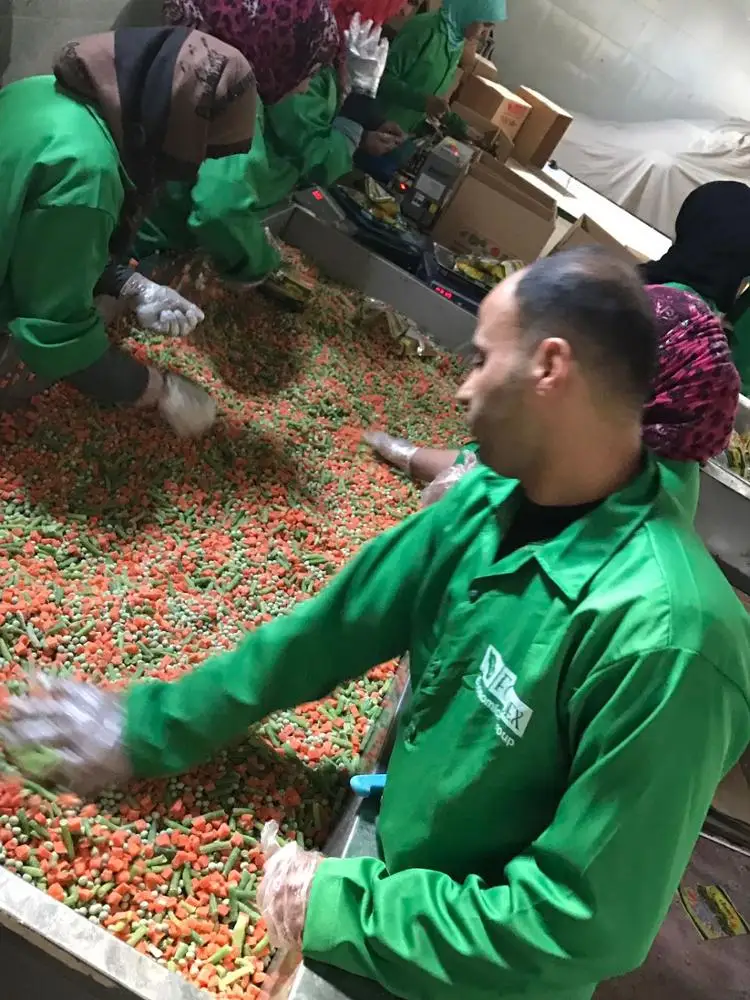 Frozen Mixed Vegetables(peas+beans+carrot) items