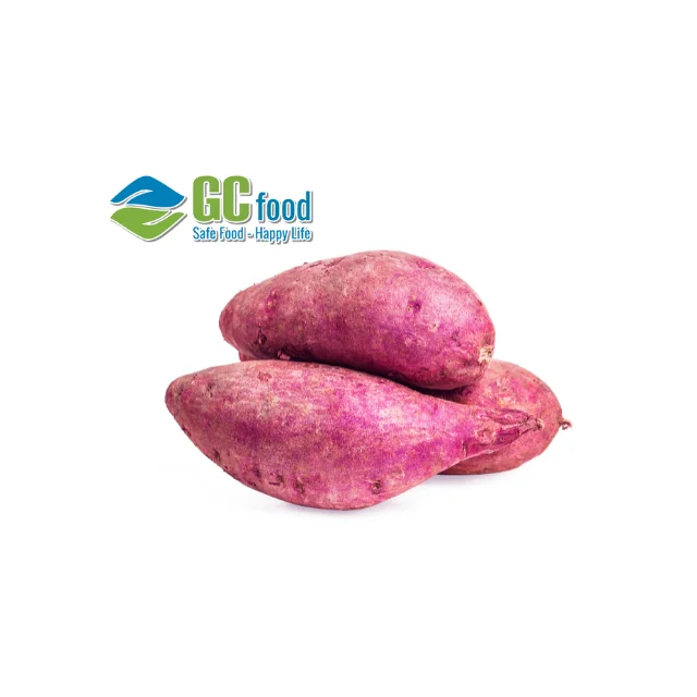 Свежий сладкий (фиолетовый) картофель со зрелой 100% новейший Урожай органики-10 кг-обычное культивирование из Вьетнама