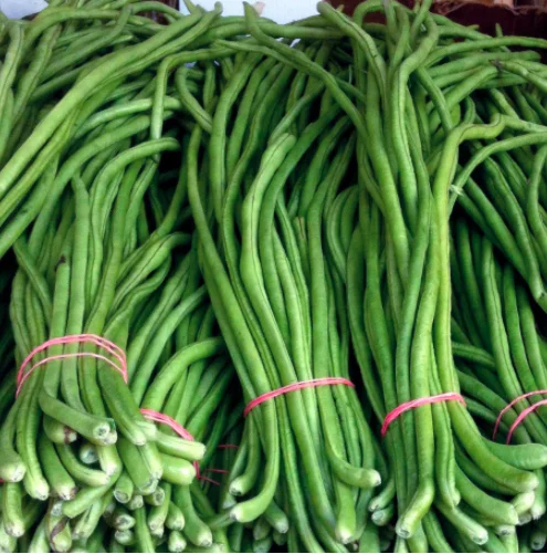 
New Crop Top Quality Fresh Asparagus 