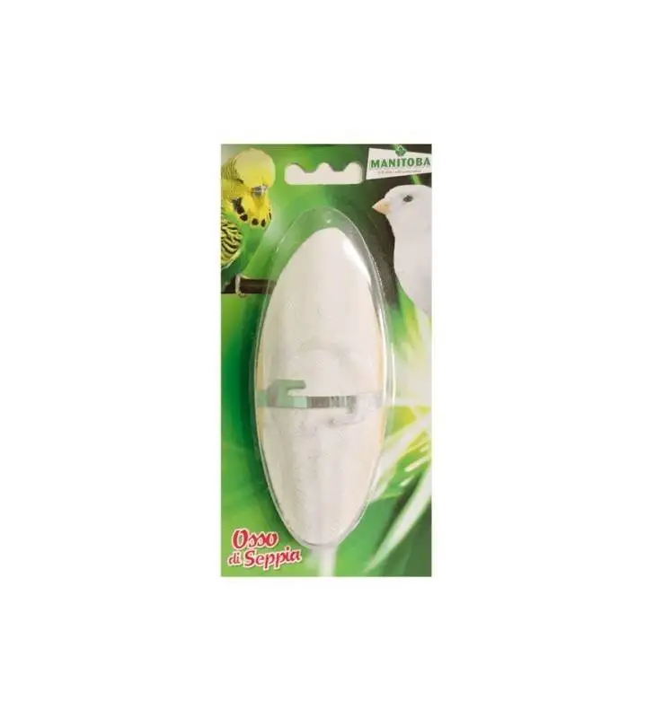 DRIED CUTTLEFISH BONES WITH MANY SIZES FROM VIETNAM / JENNY +84 905 926 612