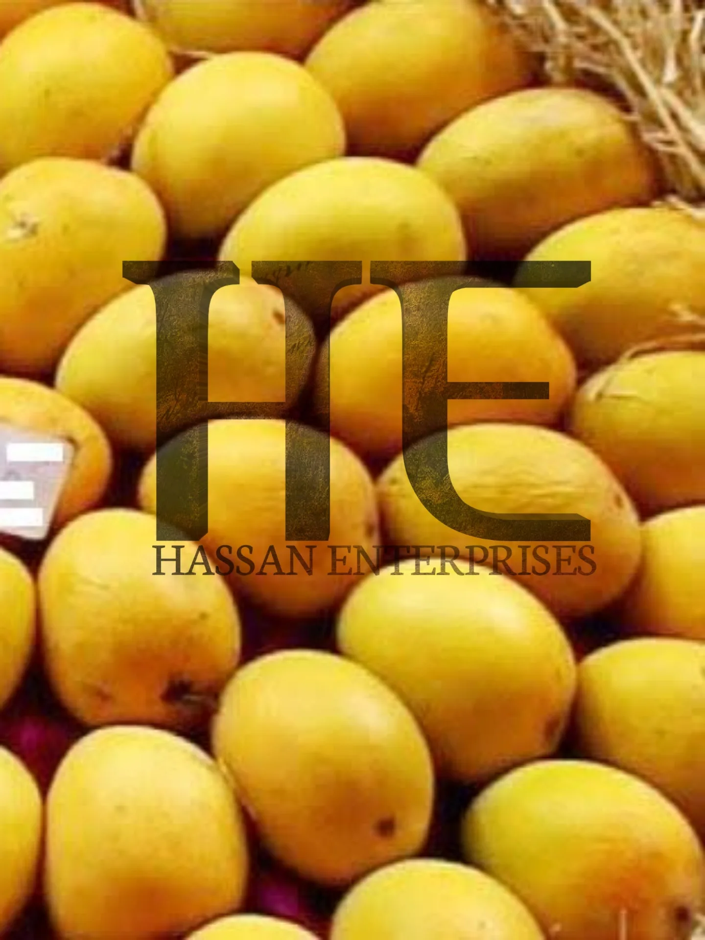 Mango Sindhri Chaunsa Produced In Pakistan Export Quality