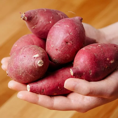  Экспорт продукции // японский сладкий картофель мед из Вьетнама для оптовой продажи только $1/ Ms Sofia + 84 789946878