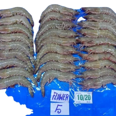 SUPPLY RAW FROZEN HEAD ON SHELL ON FLOWER SHRIMP 20/40 CHEAPEST FACTORY PRICE INDIAN ORIGIN