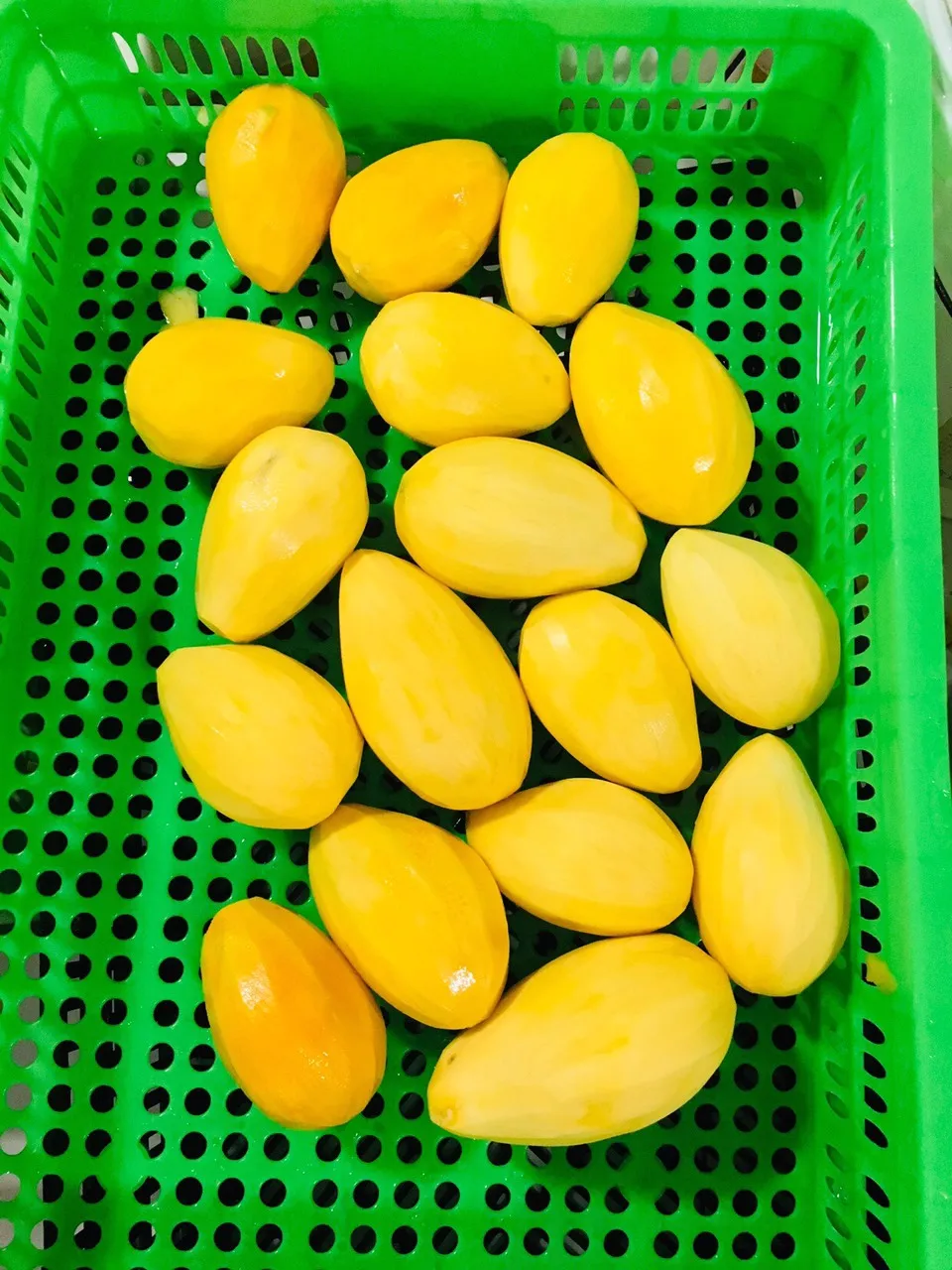 Supplying fresh mango from Vietnam with best price_Vikafoods (+84983028718)