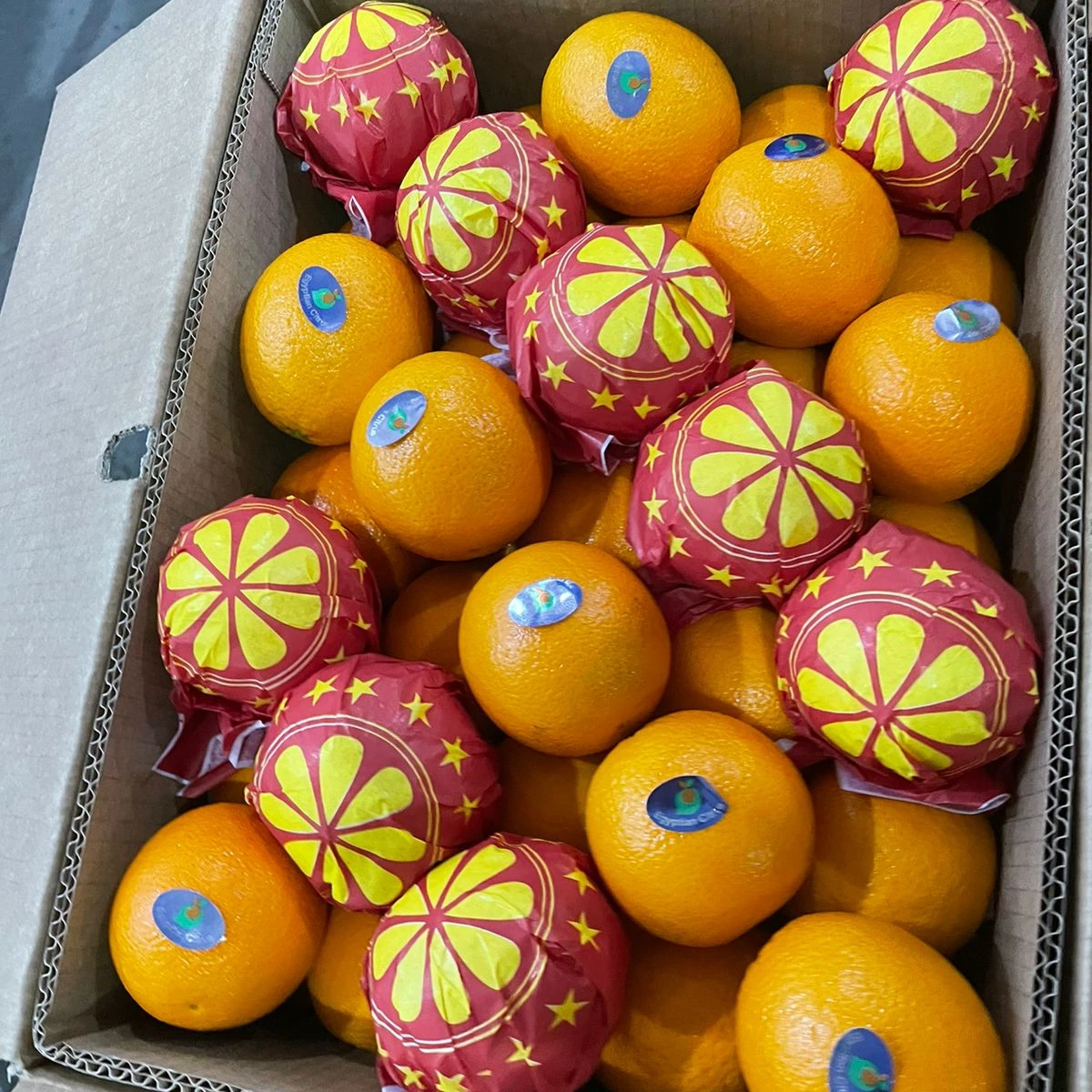 CITRUS FRUIT (VALENCIA ORANGE ) MANY SIZES WITH COMPETITIVE PRICES FROM EGYPT