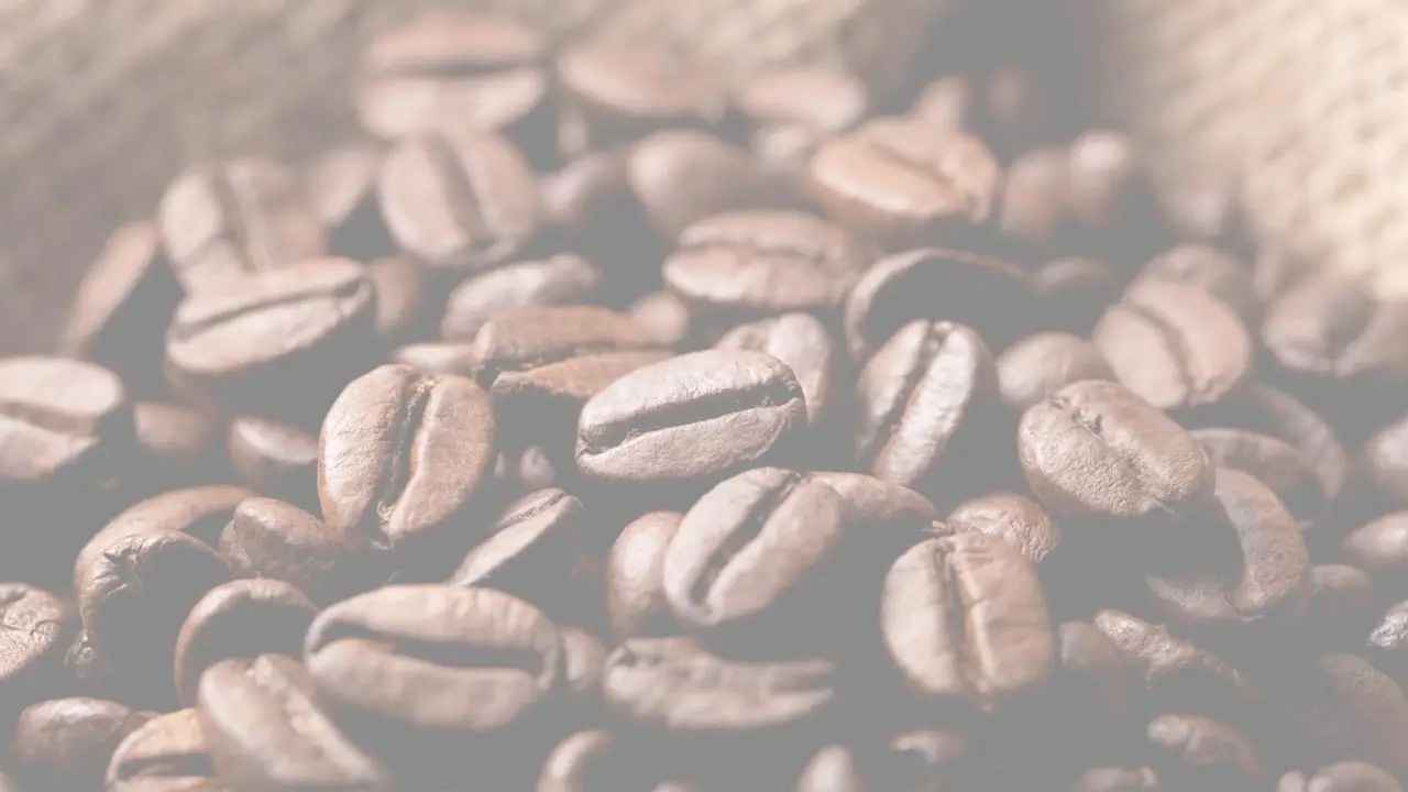 Холодный Кофе Le Cafe - Latte 355 мл консервированный здоровый напиток