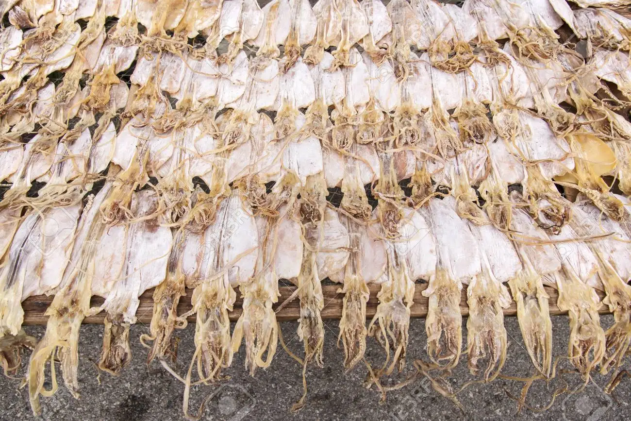 PRIVATE LABEL-GOOD PRICE DRIED SQUID 350 GRAMS/BAG VIETNAM//MS.GINA +84 347 436 085 (