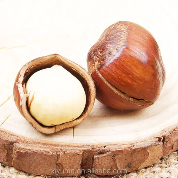 Cheap price Hazelnuts suppliers Hazelnut kernels for sale