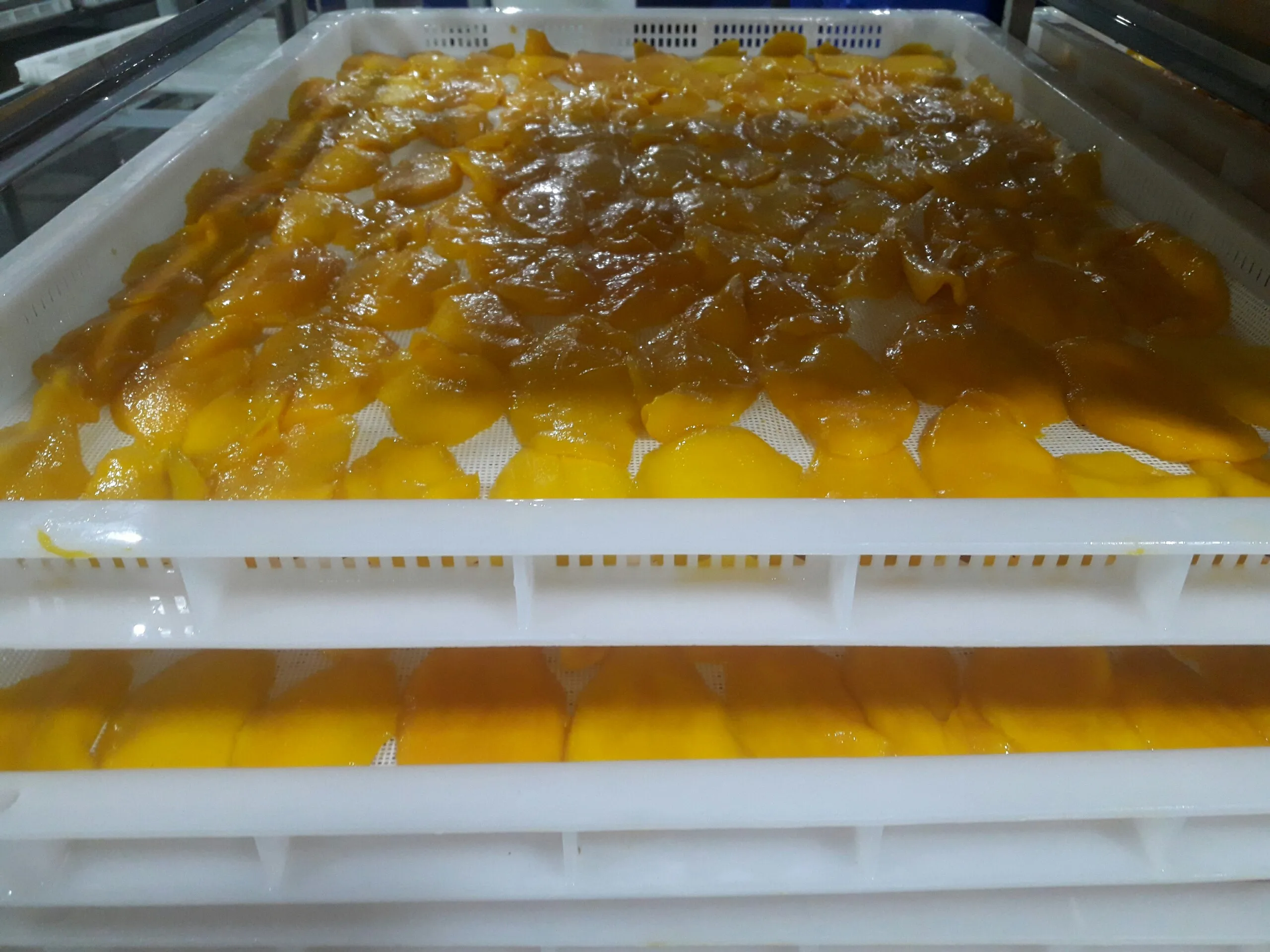 Dried Mango Fruit From Vietnam