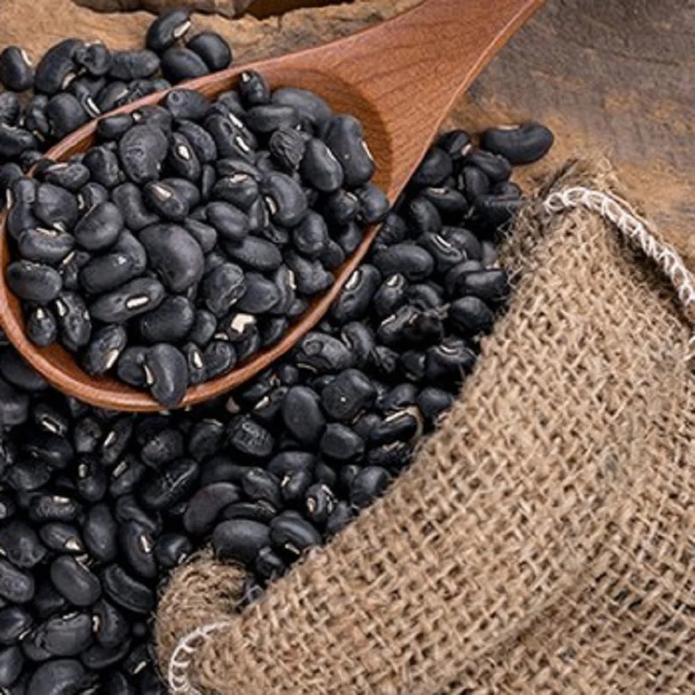 black kidney Bean  and White Beans in thailand