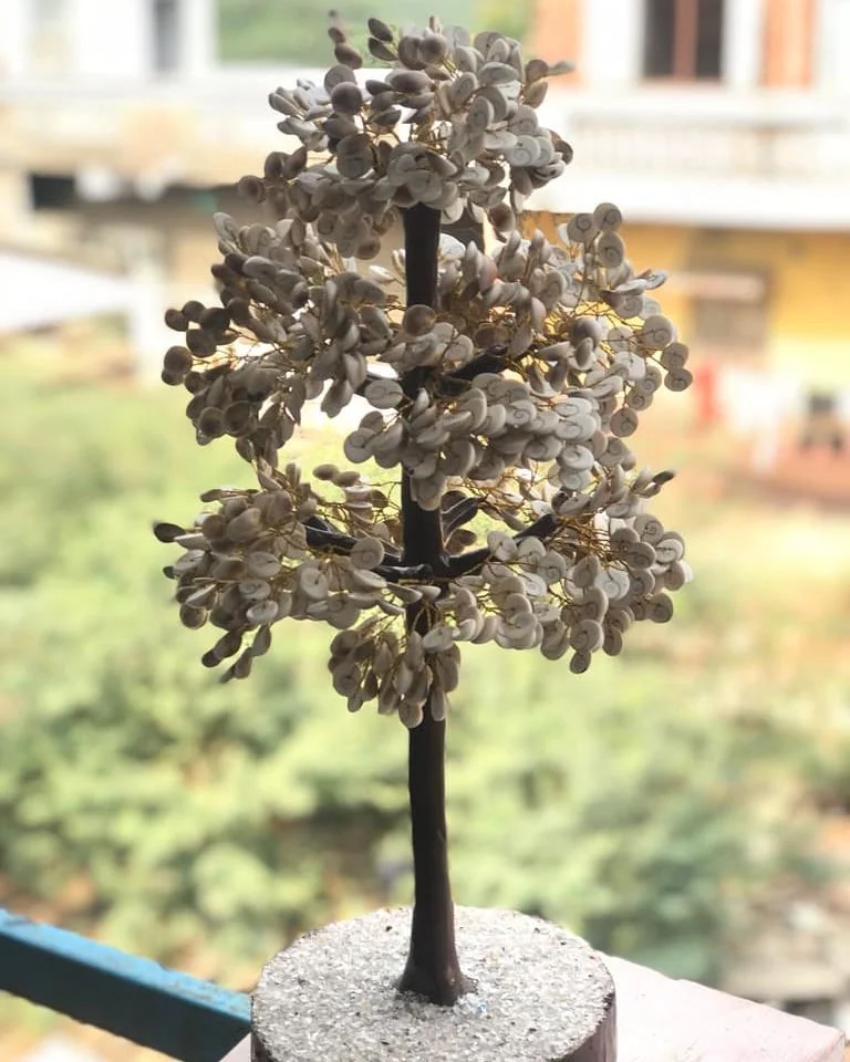 High Quality Chakra Gomti Gemstone Chips Healing Tree 500 Chips for Sale