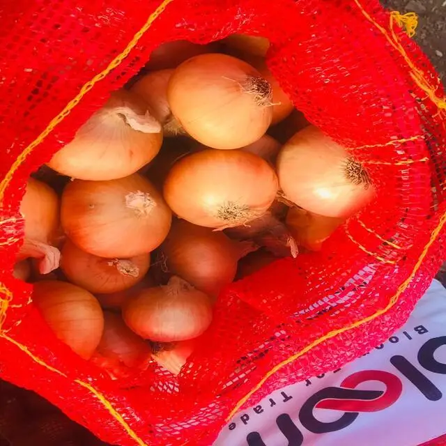  Fresh Style and Liliaceous Vegetables Product Type Red White