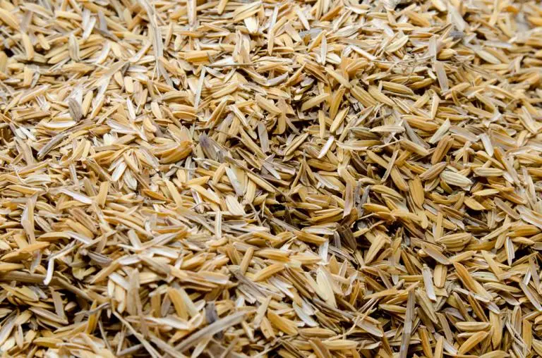 Коричневый рис JAPONICA 5% сделано в Вьетнаме высокое