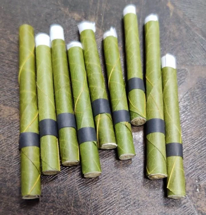 cordia and tendu leaf pre rolls perfect leaf for pre rolled cones and blunts green leaf bulk pre rolls