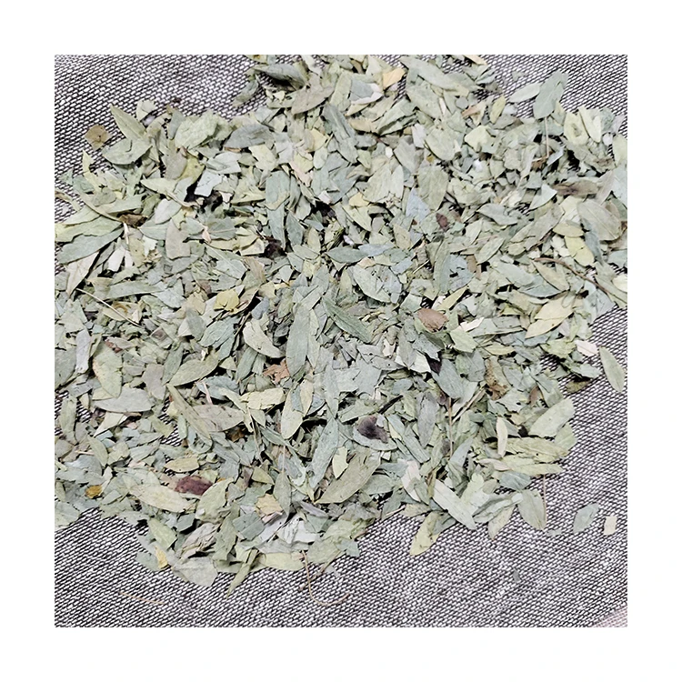 Top Listed Seller Selling Herbs Senna Leaves / Cassia Angustifolia Whole for World Wide Purchase