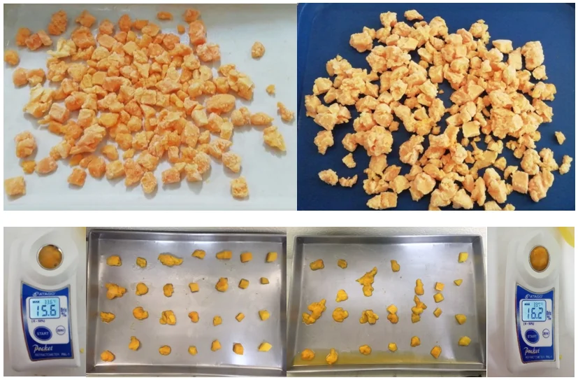 IQF Mango Bits & Pieces 5.PNG