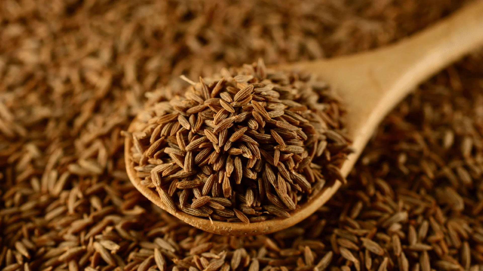 Indian organic cumin seeds powder bold sortex machine clean manufacturer
