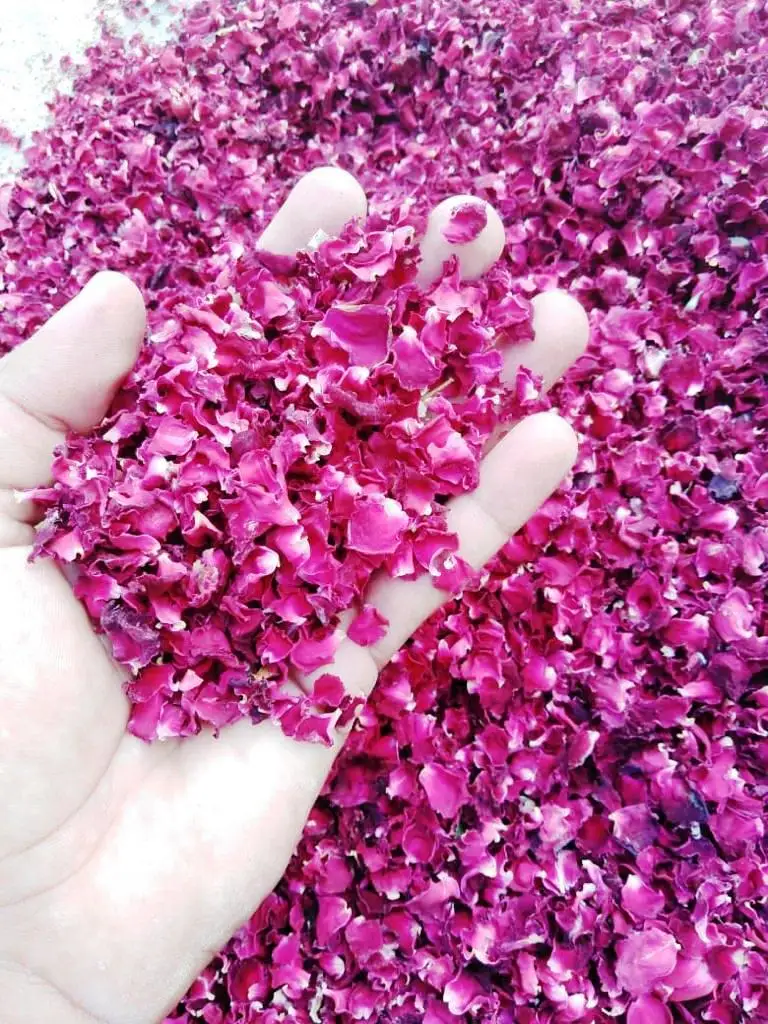 Dried Rose petals 100% natural full flower and rose petals only