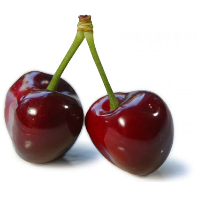 FRESH CHERRY PREMIUM QUALITY FOR SALE