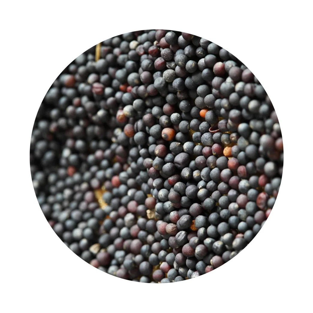 99.99% чистые семена рапсы, семена канолы, без ГМО, рапса