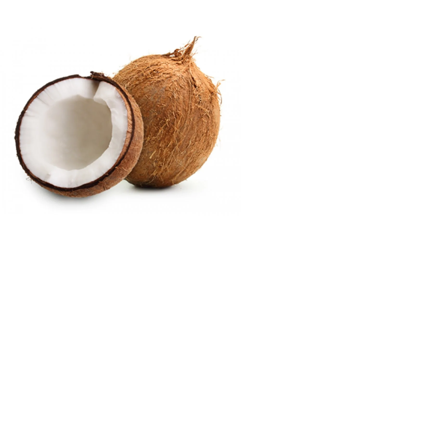 Cheap Dry Coconut/Fresh Coconut Available