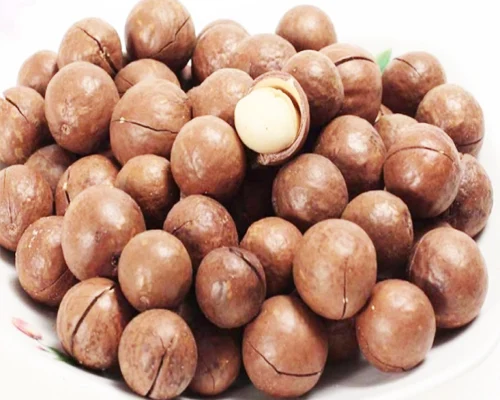 High quality Organic Macadamia Nuts /Macadamia Nuts Wholesale