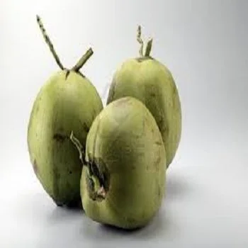 Кокосовый молодой кокос высокого качества по лучшей цене в 2021 году