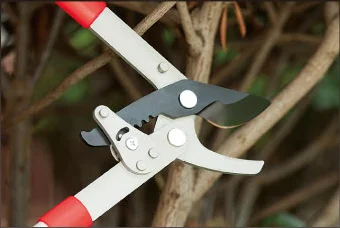 
SBTools Power Saving 29.5