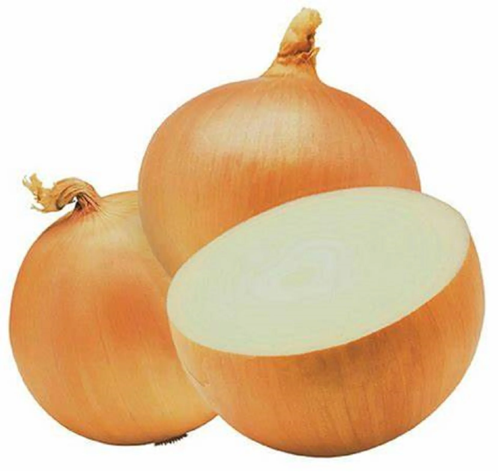 
Price for Natural Vegetable Fresh Red Onion Hot Sale 
