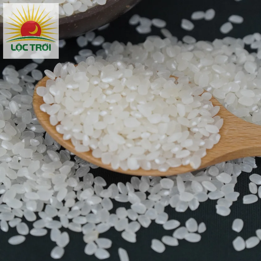 Premium Quality Calrose rice/Sushi rice/ Japonica from Vietnam Best Supplier Contact us - Loc Troi group for best price