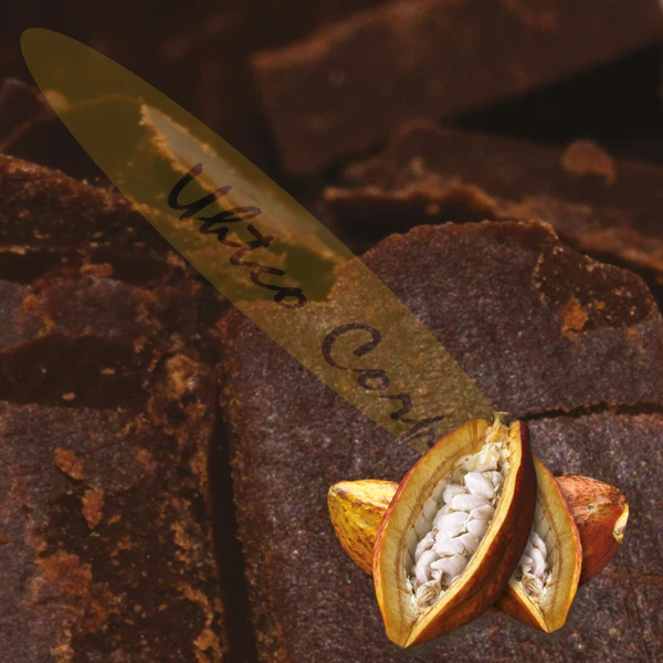 100% Criollo Какао масса, био