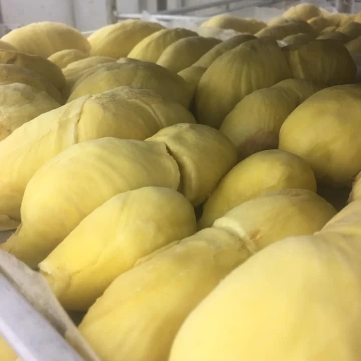 Experience the Taste of Thailand with Our Premium Quality Fresh Cut Durian - Imported Directly from the Finest Orchards, Ready t