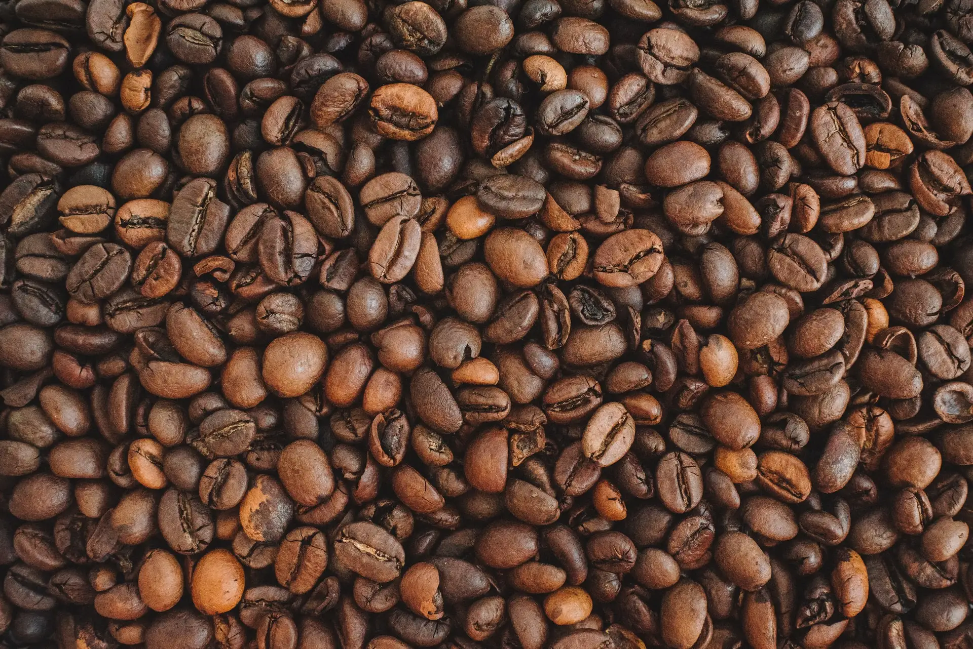 Wholesale Best Quality Bulk Robusta Coffee Bean For Sale In Cheap Price