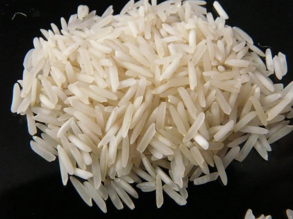 Basmatic Rice wholesale 2022 crop