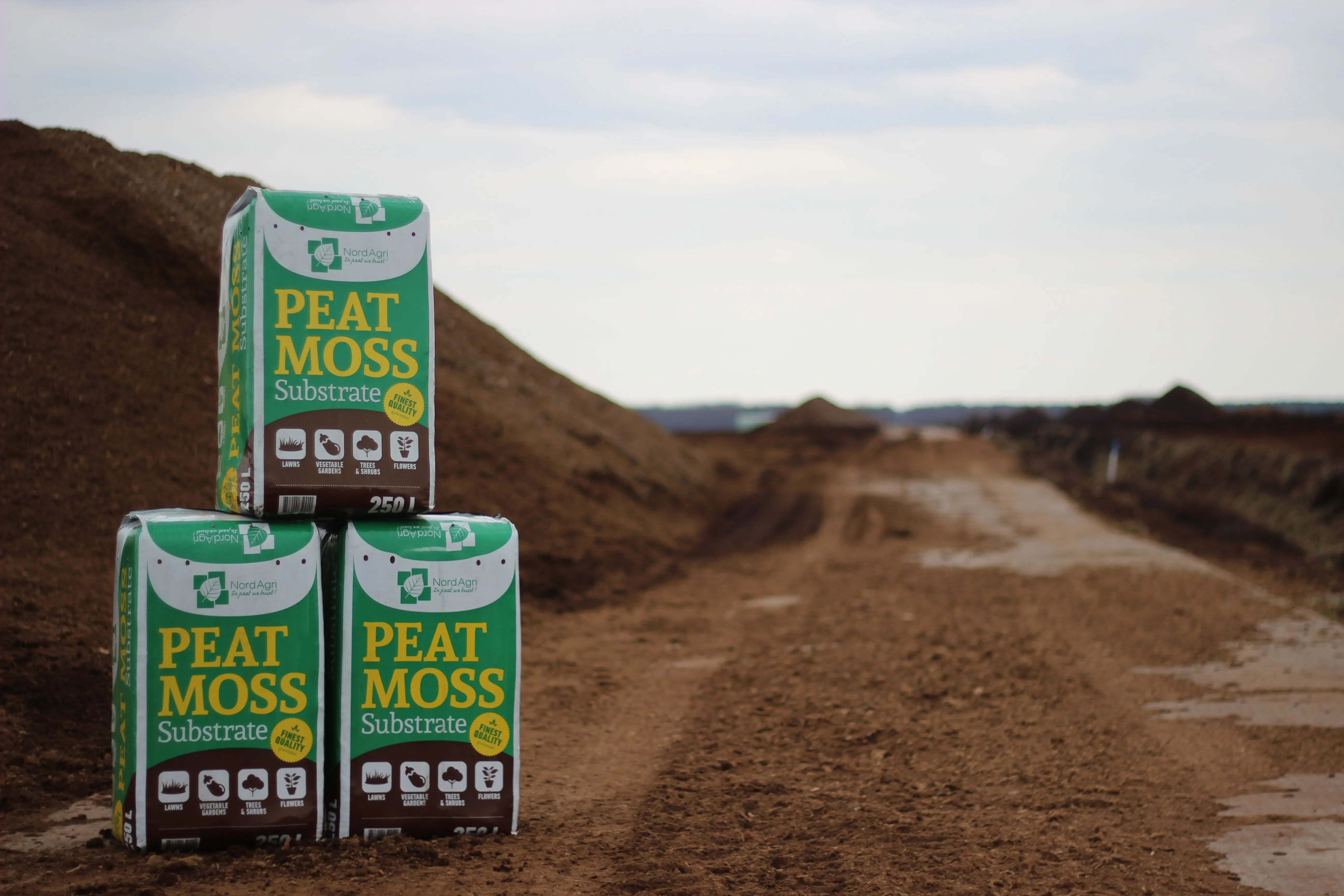 High Quality Soil Fertilizer Black Peat Moss