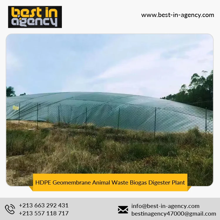  6000m3 варочный котел объемом HDPE Гео-мембрана Лагуна отходов животноводства 