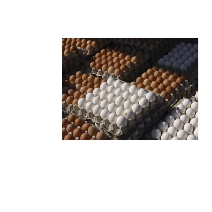 В наличии свежие куриные яйца/белые и коричневые яйца.