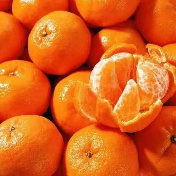 Cheapest Factory price Pakistan made Best Fresh Premium Mandarin Orange For Sale