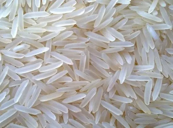 Premium Quality Thien Phu White Broken Raw Rice 5% Broken excellent rice 100 % Natural To Export